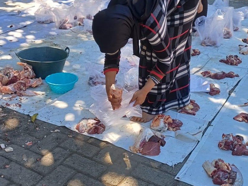 Gelar Penyembelihan dan Pembagian Daging Hewan Qurban